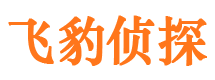 沿滩市婚外情调查